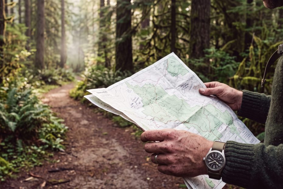 Hands holding an unfolded trail map at a forest trailhead in morning light, the path ahead soft in the background.
